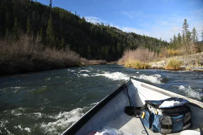 DSC_0237 (Large).JPG